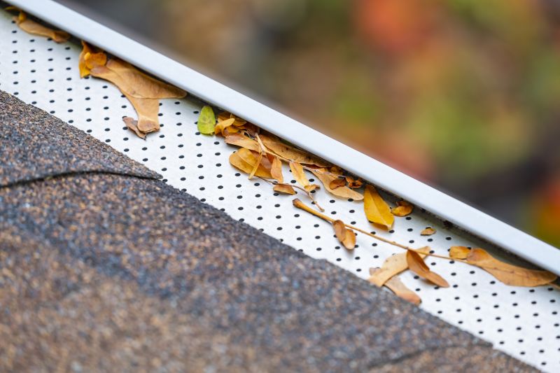 Gutter Guard Replacement in Seattle, WA