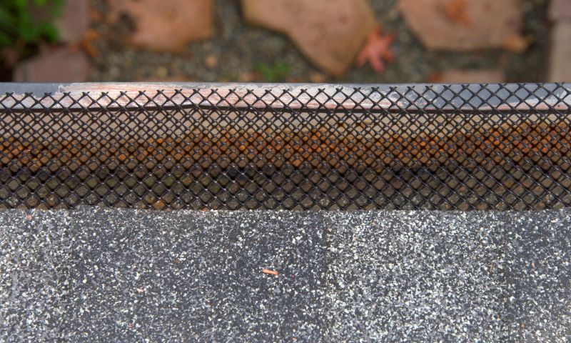 Gutter Guard Replacement in Mcdonough, GA