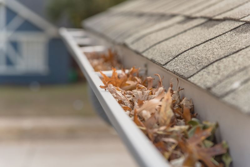 Leaf Barrier Installation in Boulder, CO