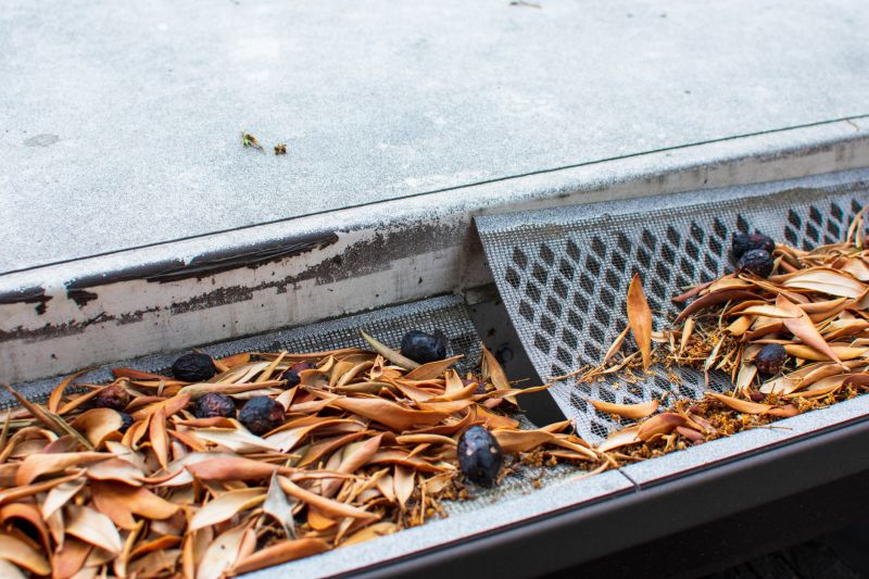 Gutter Mesh Installation in Seattle, WA